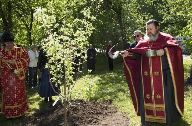 Прихожане храма «Спорительница хлебов» восстановили яблоневый сад в городском парке